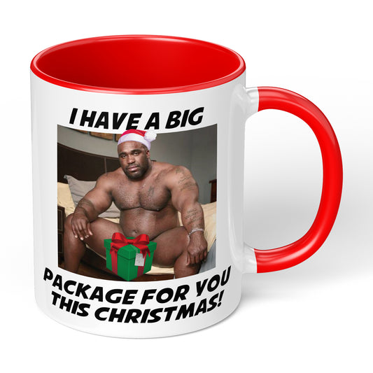 Barry Wood Mug For Christmas Gift With Funny Adult Design I Have Big Package For You