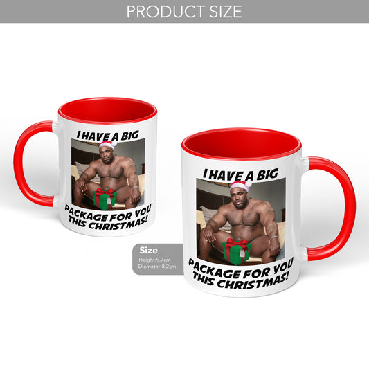 Barry Wood Mug For Christmas Gift With Funny Adult Design I Have Big Package For You